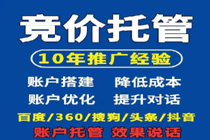 SEM推广优化实战：案例分析与启示